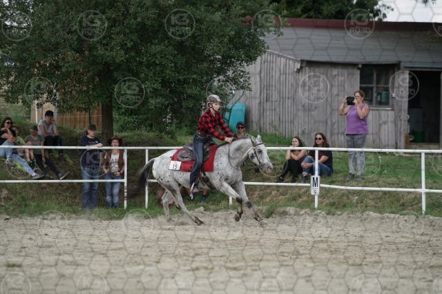 s_K3F07162.JPG